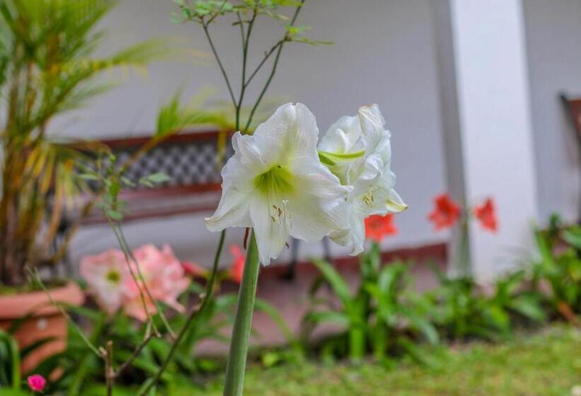 Fotos del hotel Rebequet:  4