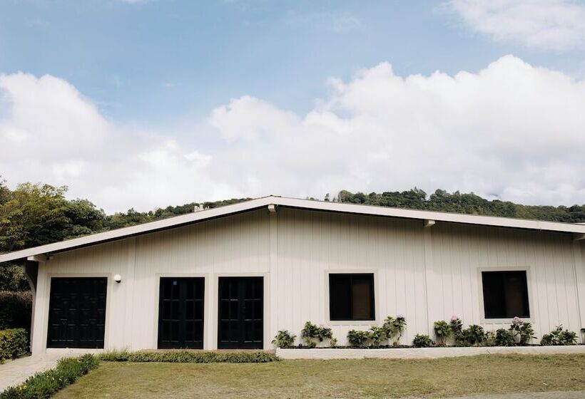 Fotos del hotel Rebequet:  5