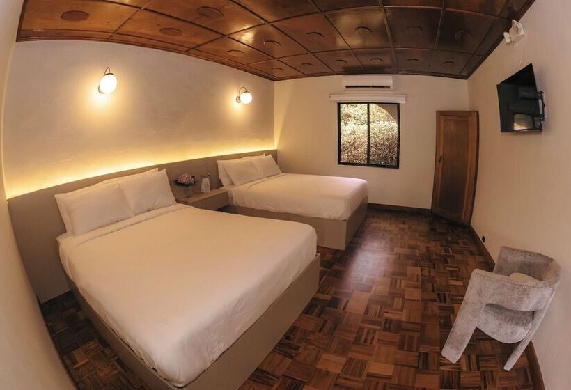 Fotos del hotel Rebequet:  9