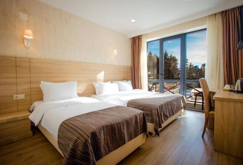 Fotos del hotel Bm Plaza:  8