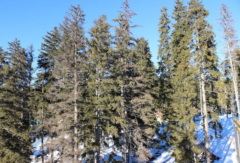 Fotos del hotel Bm Plaza:  25