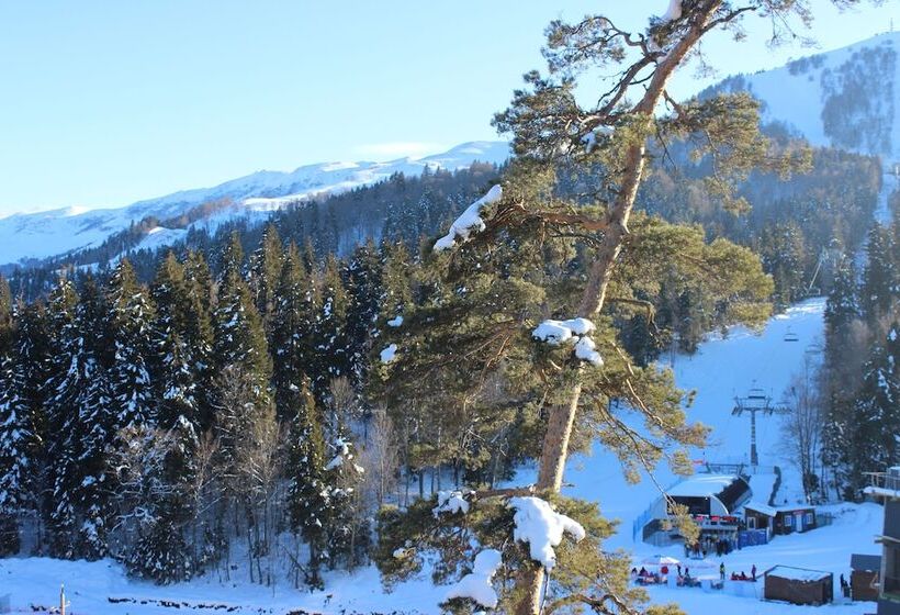 Fotos del hotel Bm Plaza:  7