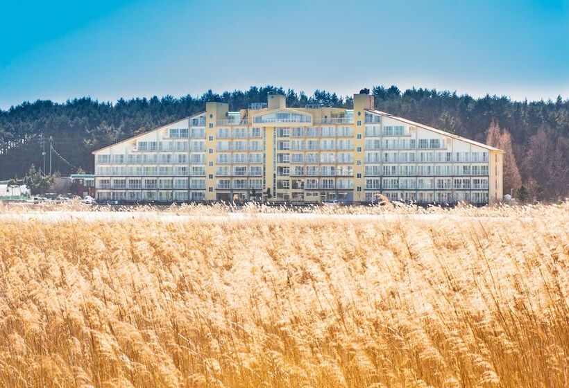 Fotos del hotel Lake Ocean Resort Sokcho:  8