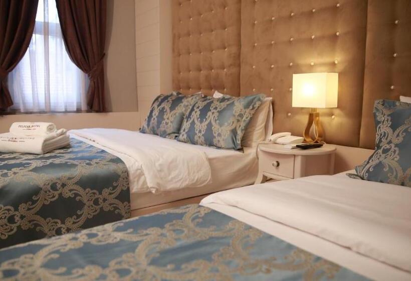 Fotos del hotel Pelican House:  13