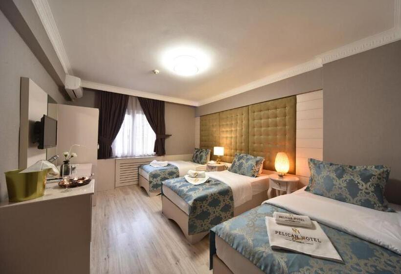 Fotos del hotel Pelican House:  9