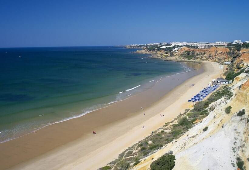 Fotos del hotel Pine Cliffs Gardens:  9