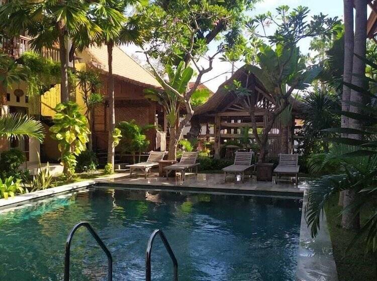 Fotos del hotel Mina Pelasa:  14