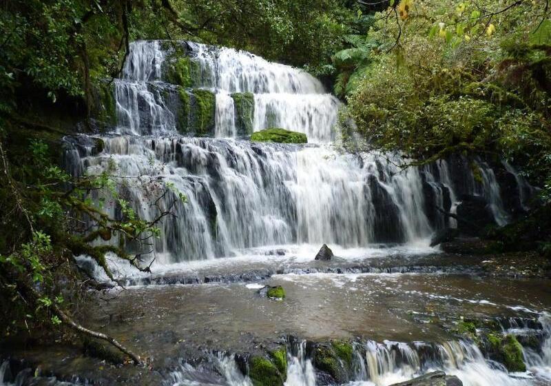 Fotos del hotel Nugget View & Kaka Point Motels:  5