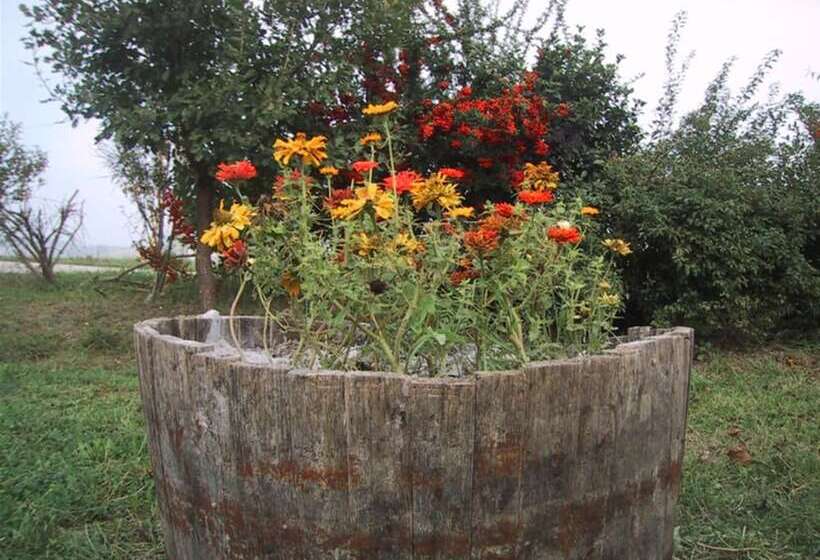 Fotos del hotel La Quercia Del Saggio:  4