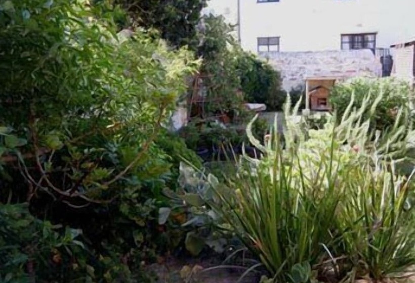 Fotos del hotel Samhitakasha Cob House Organic B&b:  15