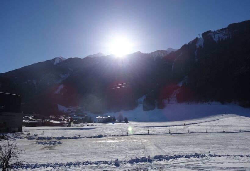 Fotos del hotel Scheulinghof:  13