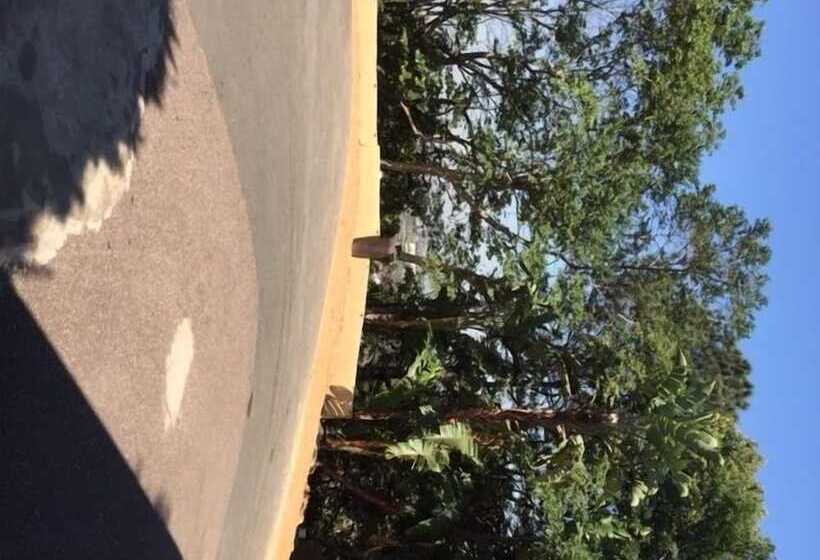 Fotos del hotel Villa Valencia:  14