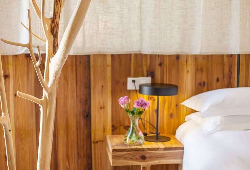 Fotos del hotel Gulangyu Phoenix Guest House:  22