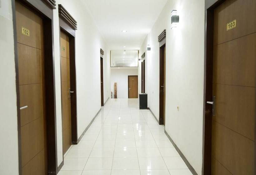 Fotos del hotel Marciella:  4