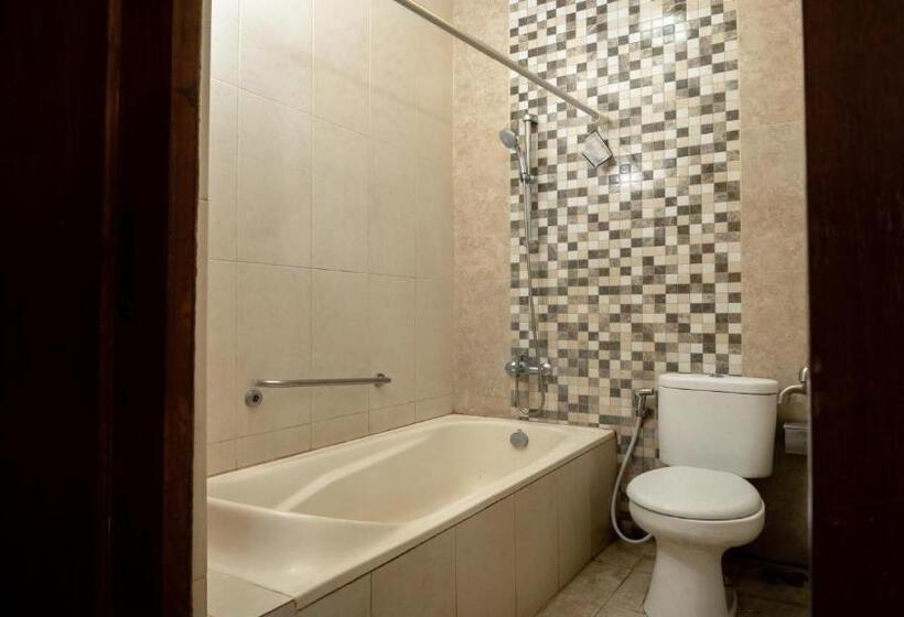 Fotos del hotel Saptagria:  8