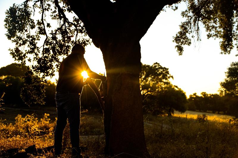Fotos del hotel Casa Do Governador:  8