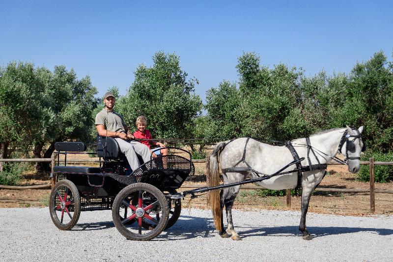 Fotos del hotel Casa Do Governador:  4