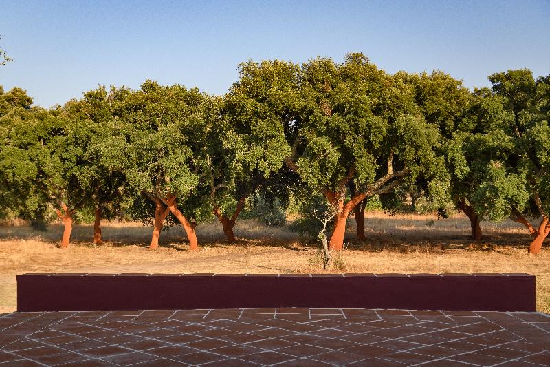 Fotos del hotel Casa Do Governador:  16