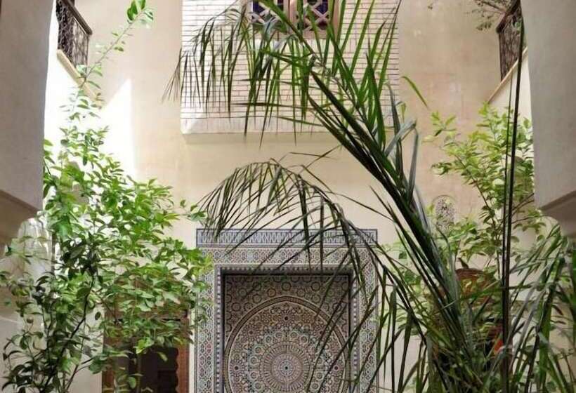 Fotos del hotel Nadir Home:  24