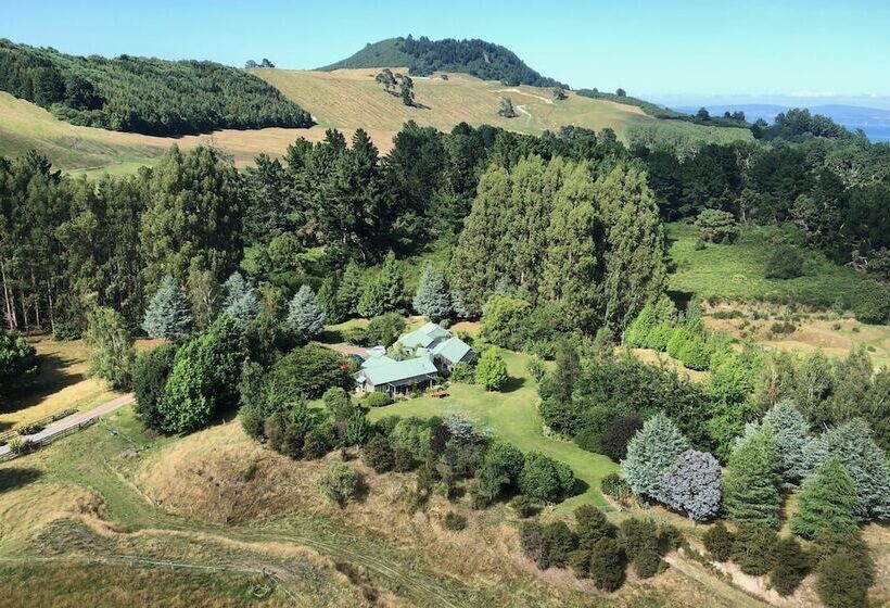 Fotos del hotel Whakaipo Lodge:  6