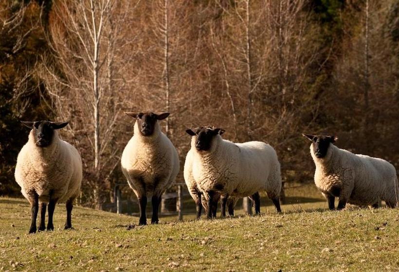 Fotos del hotel Whakaipo Lodge:  13