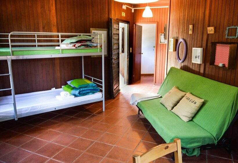 Fotos del hotel Ymca Camp Alambre Bungalows:  3