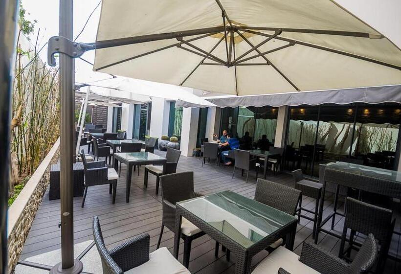 Fotos del hotel Rysara:  15