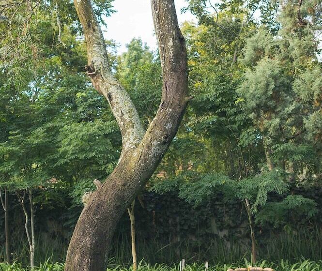 Fotos del hotel Osborne House  Guest House:  15