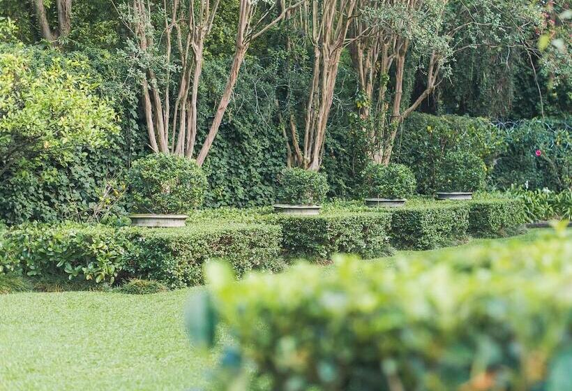 Fotos del hotel Osborne House  Guest House:  25