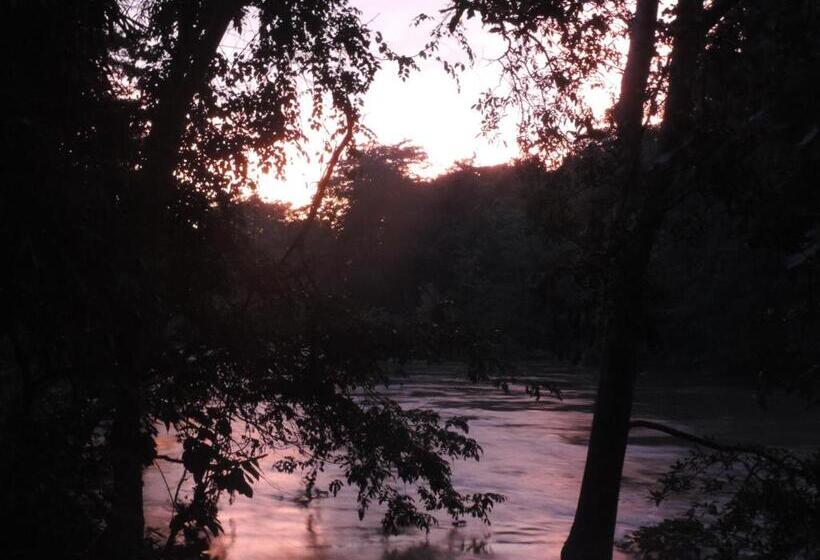 Fotos del hotel River Face Inn:  6