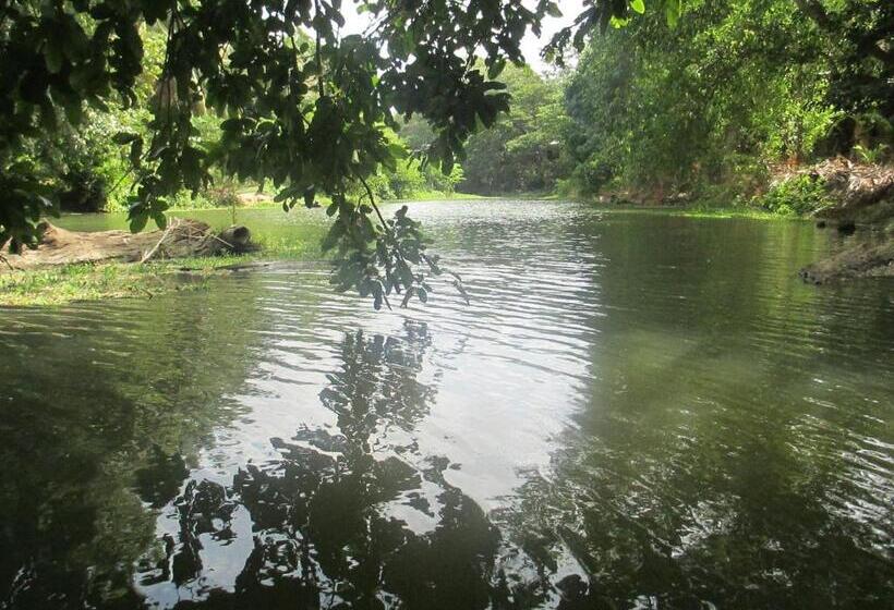 Fotos del hotel River Face Inn:  9