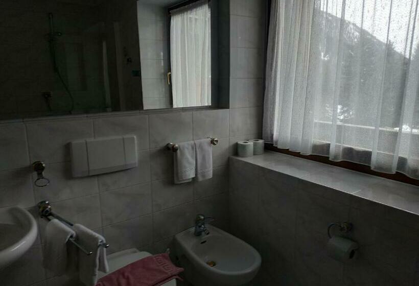 Fotos del hotel Sport  Wildgall:  6