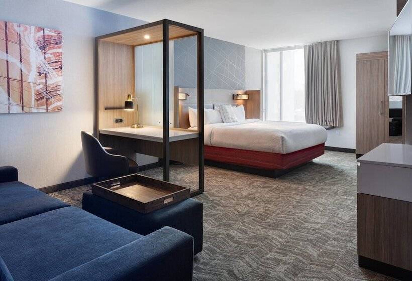 Springhill Suites By Marriott Orlando At Millenia