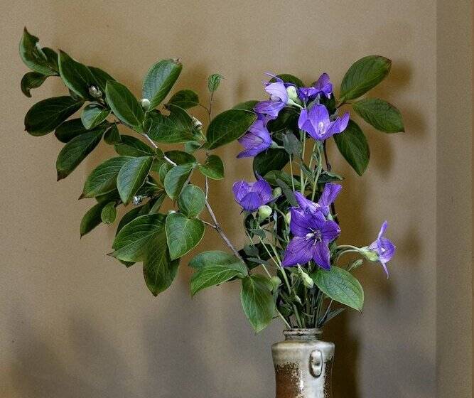 Fotos del hotel Ryokan Warabino:  7