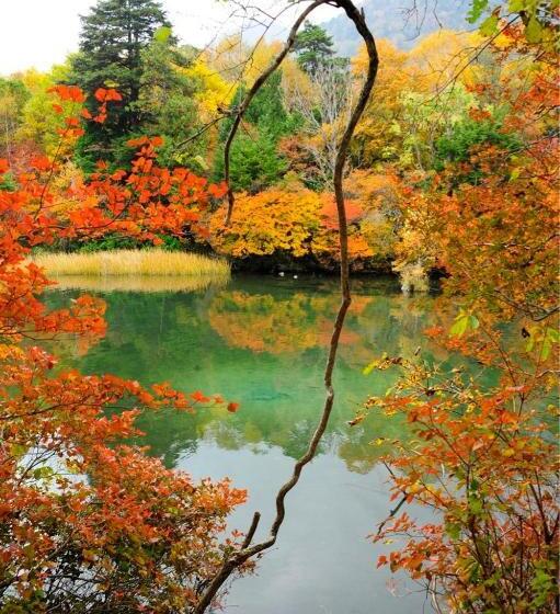 Fotos del hotel Yumoto Itaya:  17