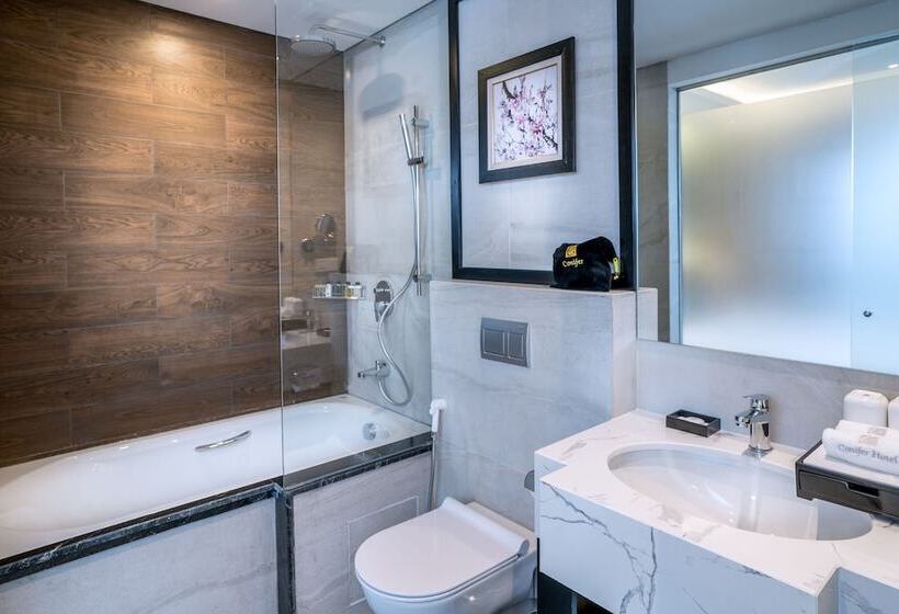 Fotos del hotel Conifer Grand:  22