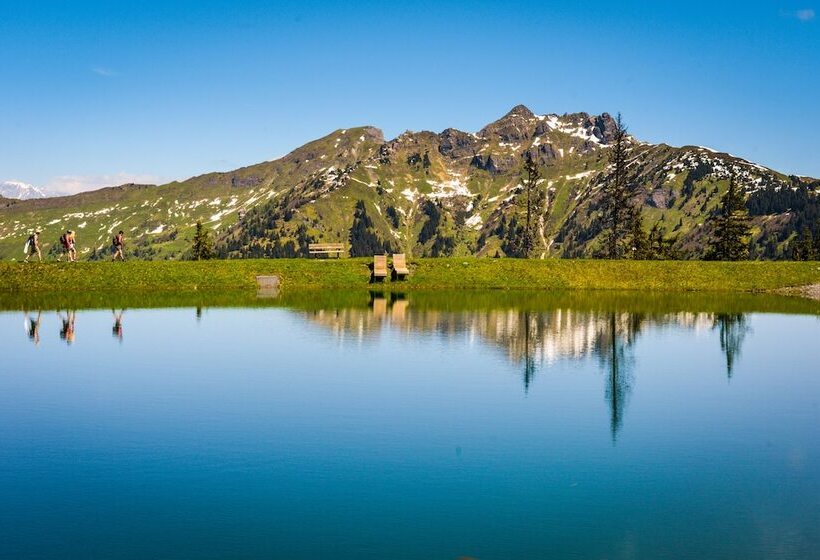 Fotos del hotel Villa Orania:  11