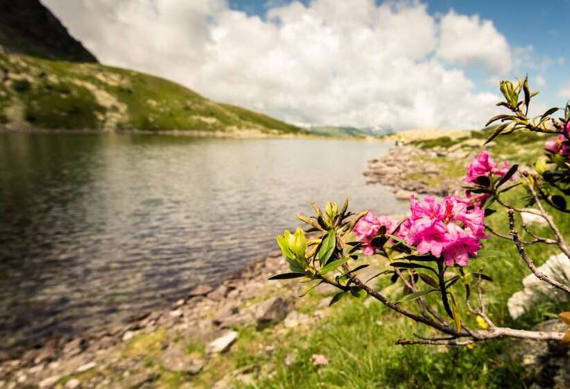 Fotos del hotel Villa Orania:  12