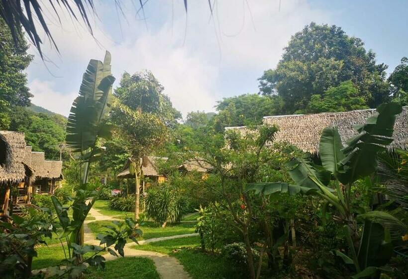 Fotos del hotel Jungle Garden:  19