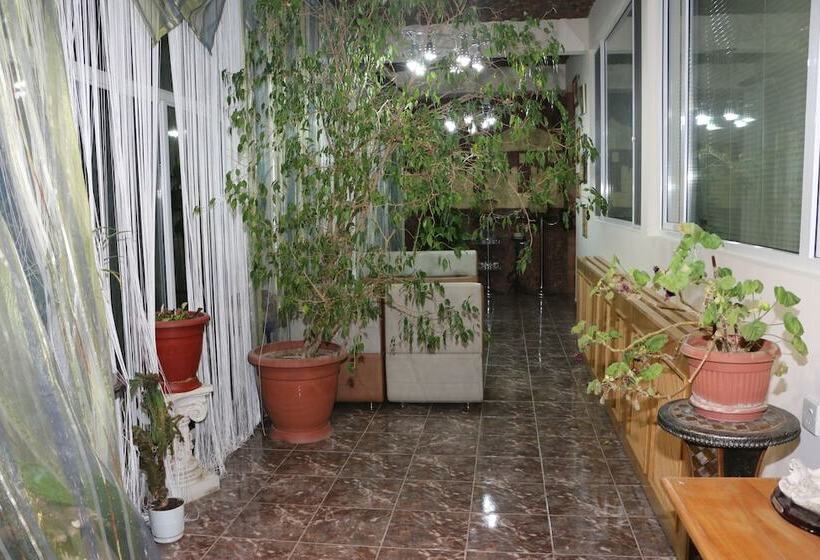 Fotos del hotel Nur2:  17