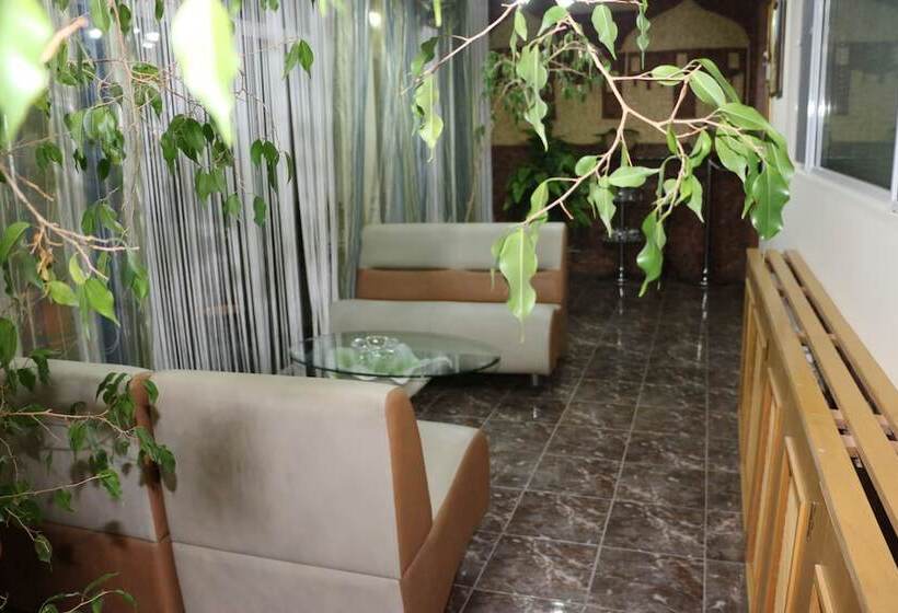 Fotos del hotel Nur2:  12