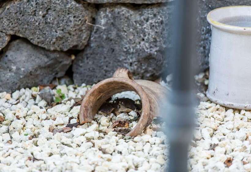 Fotos del hotel Gli Ulivi Dell'etna:  11