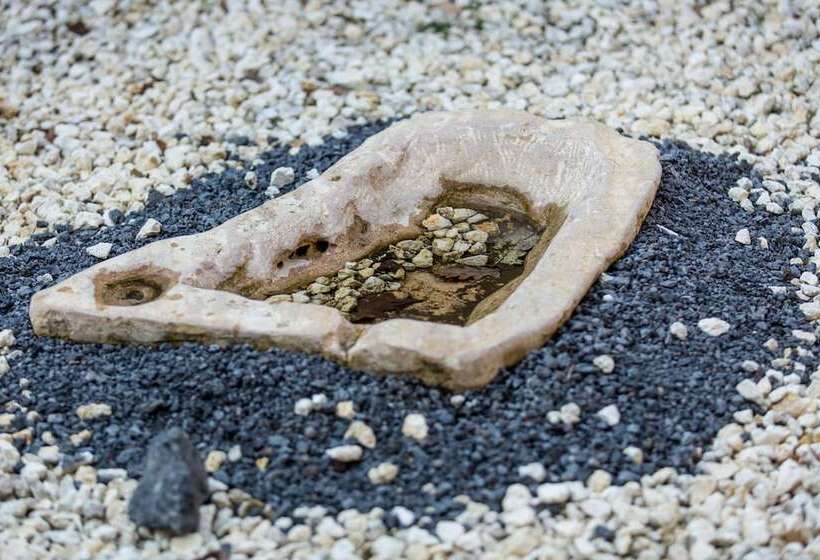 Fotos del hotel Gli Ulivi Dell'etna:  12