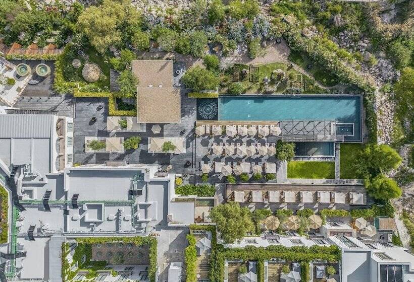 Fotos del hotel Live Aqua San Miguel De Allende Urban Resort:  16