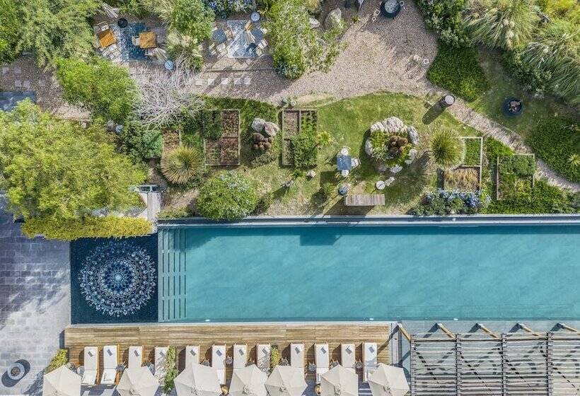 Fotos del hotel Live Aqua San Miguel De Allende Urban Resort:  14