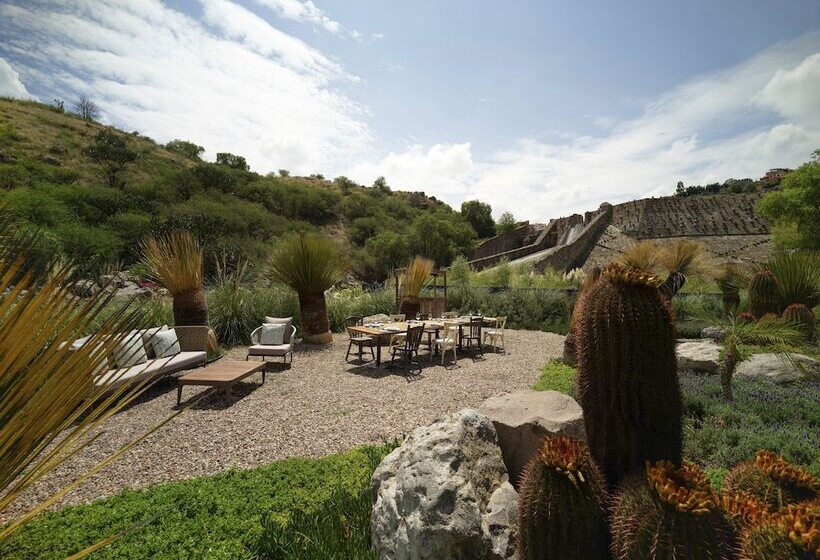 Fotos del hotel Live Aqua San Miguel De Allende Urban Resort:  3