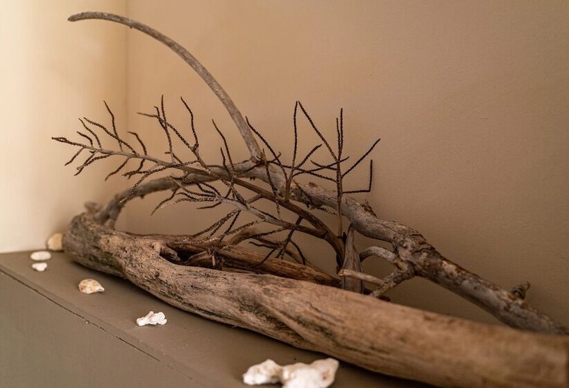 Fotos del hotel The Ridge Residence:  18