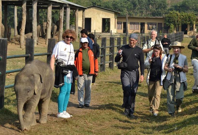 Fotos del hotel Traveller Jungle Camp:  13