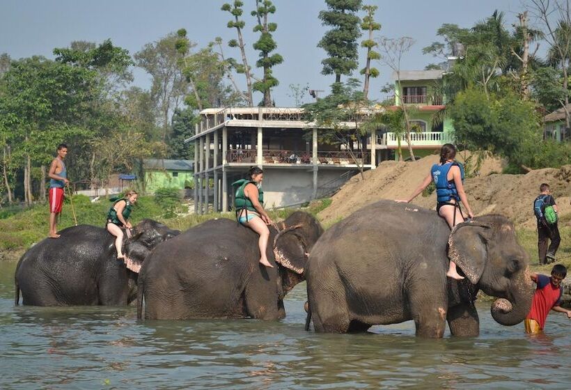 Fotos del hotel Traveller Jungle Camp:  23