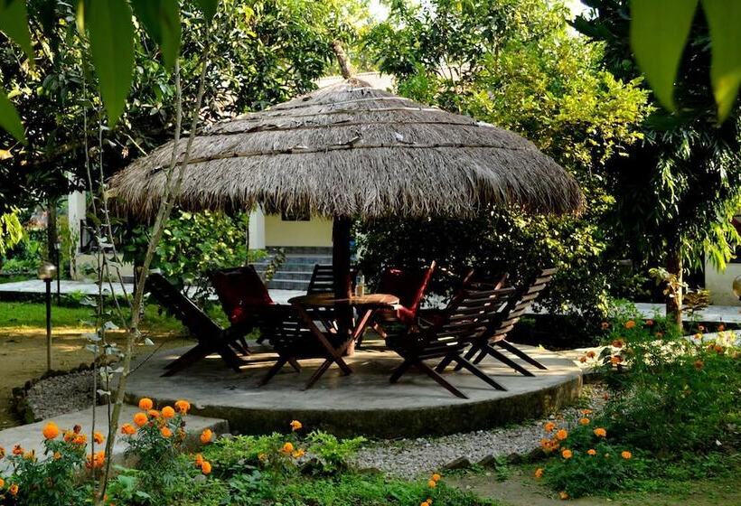 Fotos del hotel Traveller Jungle Camp:  7